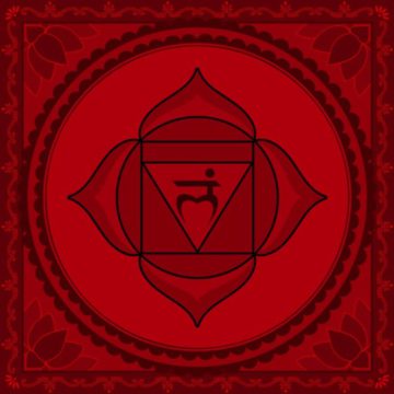 MOOLADHARA-CHAKRA-Tantra Treviso Yoga Day