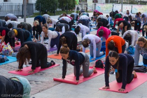 YogaDay-TV_2014-5464web.jpg